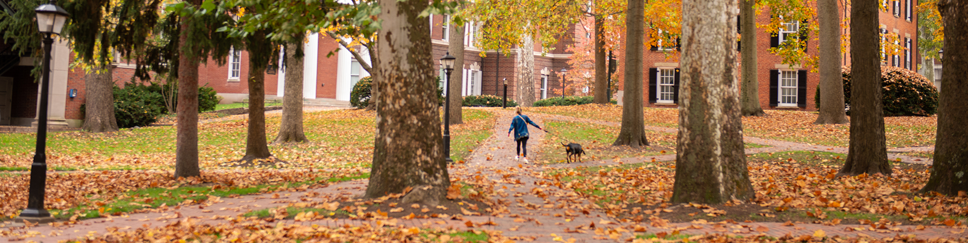 lady walking a dog on campus in the fall