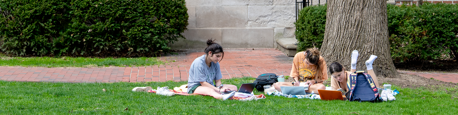 students sitting in a grass working on school assignments