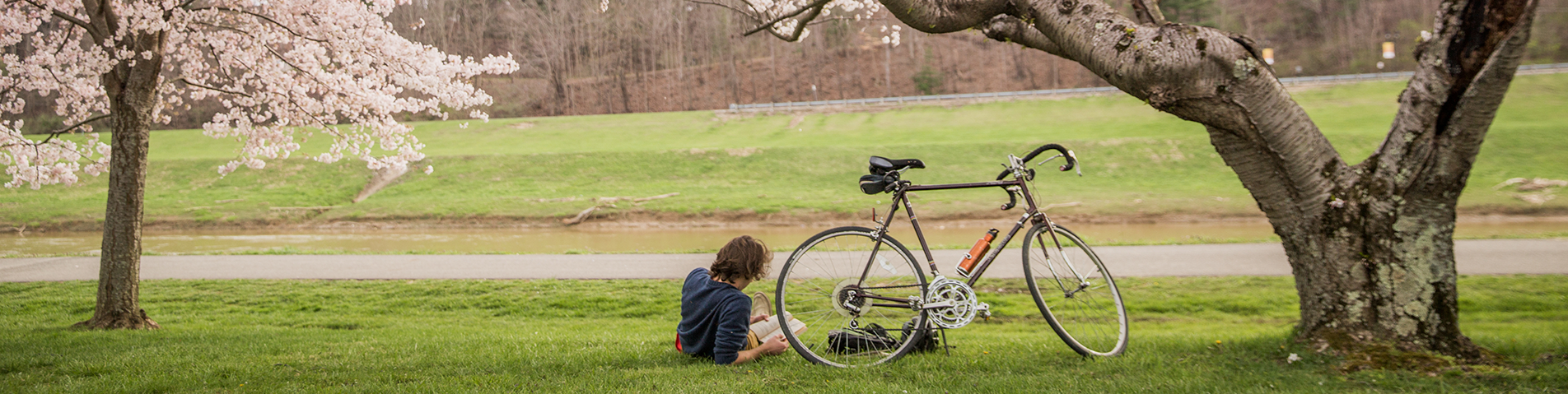 student sitting on the grass under a tree with his bike in the spring time
