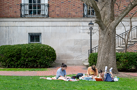 students sitting in a grass working on school assignments