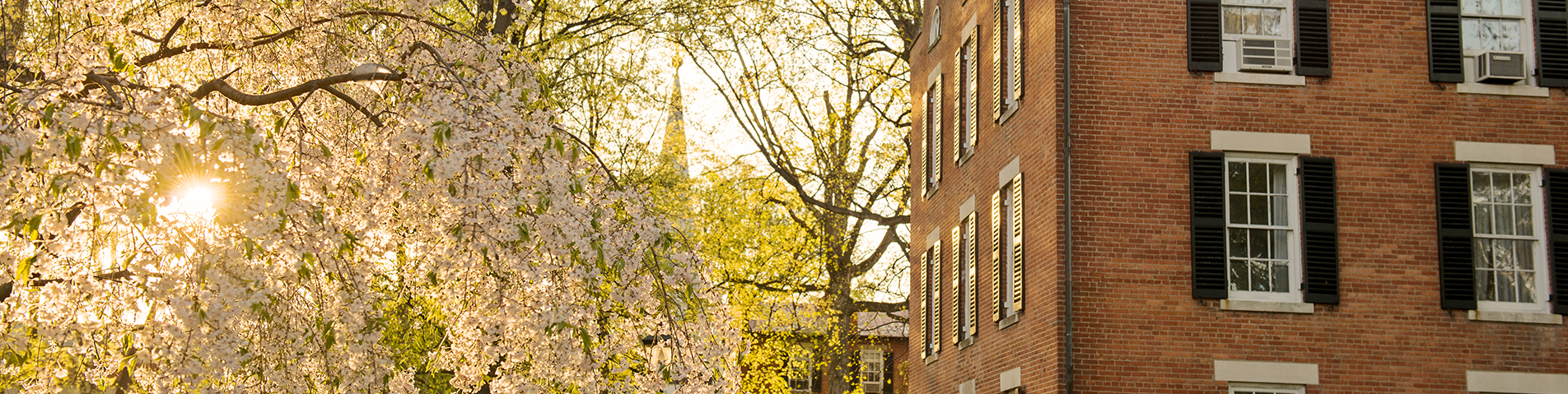 campus