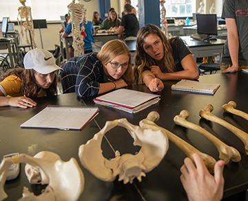 students in a science class looking at bones